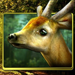 Forest HD